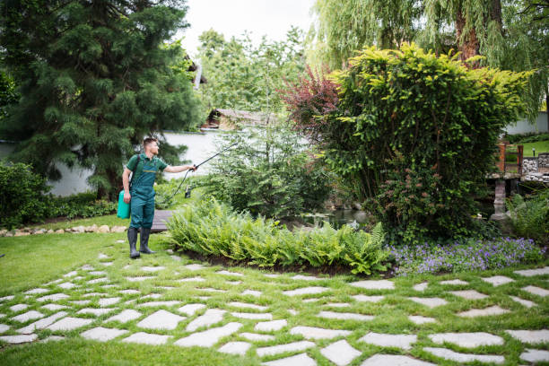 Best Residential Pest Control  in Meadowood, PA