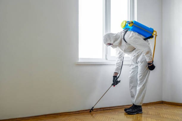 Best Wildlife Control Services  in Meadowood, PA