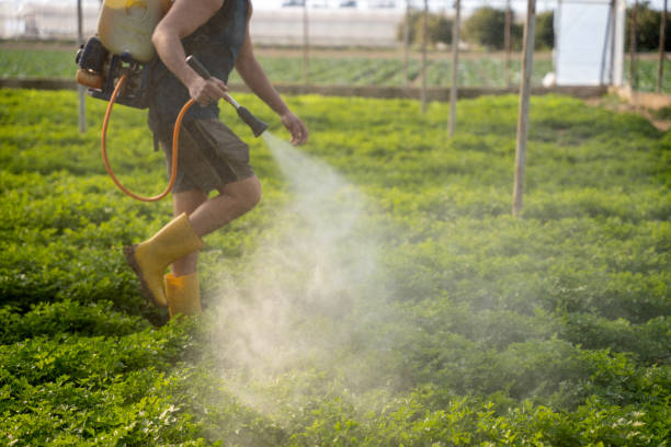 Best Ant Control Services  in Meadowood, PA