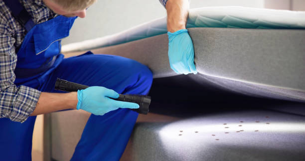 Flea Control Services in Meadowood, PA