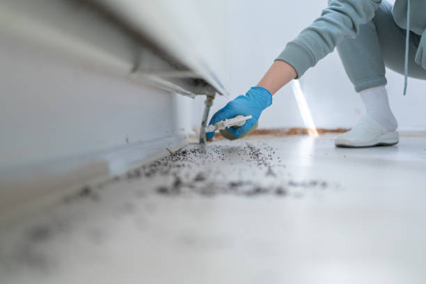 Best Local Pest Control Services  in Meadowood, PA